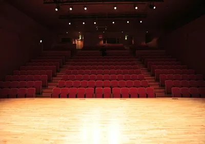 Cours de Vaincre la peur scénique et parler avec confiance