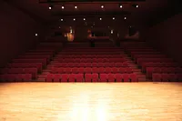 Cours de Vaincre la peur scénique et parler avec confiance