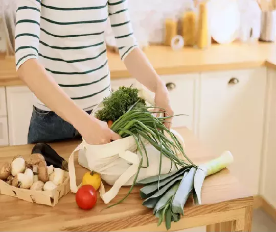 Cours de nutrition végétarienne et végétalienne