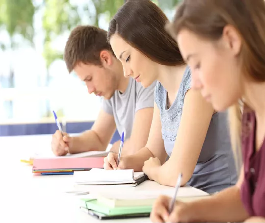 Master en développement académique et professionnel