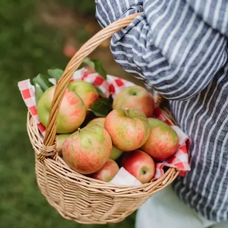 Conseils nutritionnels pour les femmes enceintes - coaching nutritionnel