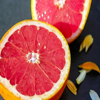 Cours en ligne de nutrition et diététique accrédité - alimentation