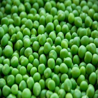 Cours en ligne de nutrition pour végétariens - alimentation