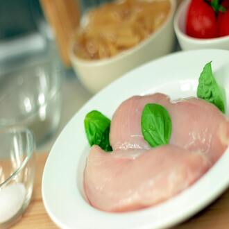 Cours en ligne sur la nutrition carnivore pour les enfants