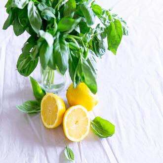 Cours en ligne sur la nutrition pour les endomorphes en amérique latine - regimes endomorphes
