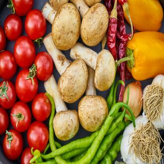 Cours en ligne sur la nutrition pour les endomorphes à prix abordable - regimes endomorphes