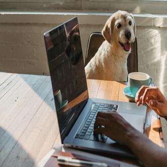 Cursos online : votre guide de l'apprentissage en ligne abordable