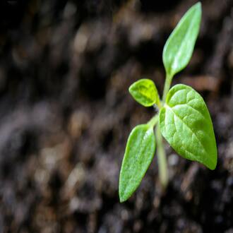 Durée du cours en ligne de coaching nutritionnel - coaching nutritionnel
