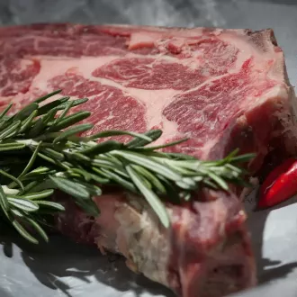 Impact du régime carnivore sur la digestion - nutrition carnivore