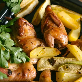L'alimentation pendant la conception améliore votre bien-être aujourd'hui - alimentation