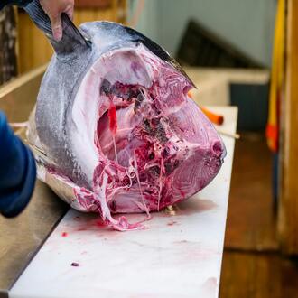 Le régime carnivore est-il cher ? - nutrition carnivore