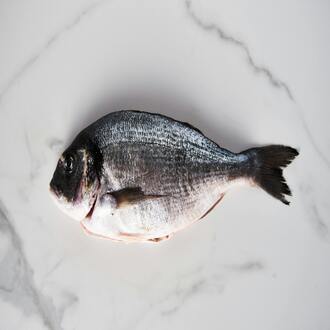 Le régime carnivore est-il durable ? - nutrition carnivore