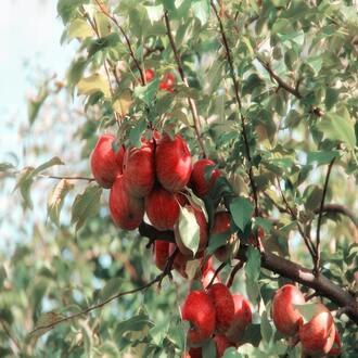 Législation alimentaire - allergenes