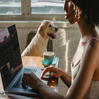 Opportunités de cours abordables : votre avenir commence ici ! -  cursos baratos online con certificado
