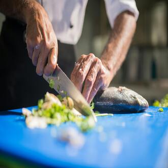 Où trouver un cours en ligne sur la nutrition carnivore ? - nutrition carnivore