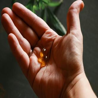 Quelles sont les dernières tendances en matière de nutrition holistique ? - nutrition holistique