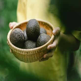 Sarcopénie et alimentation - nutrition geriatrie
