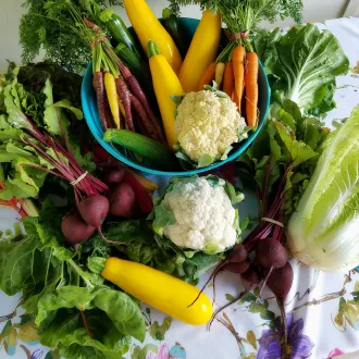Stratégies nutritionnelles pour les endomorphes - regimes endomorphes
