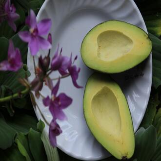 Substituts du blé sans gluten - nutrition celiac