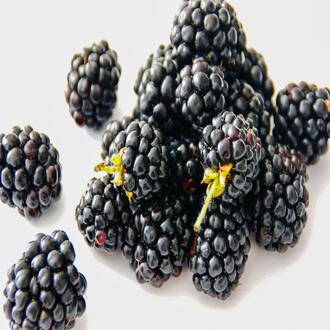 Maladies chroniques et nutrition